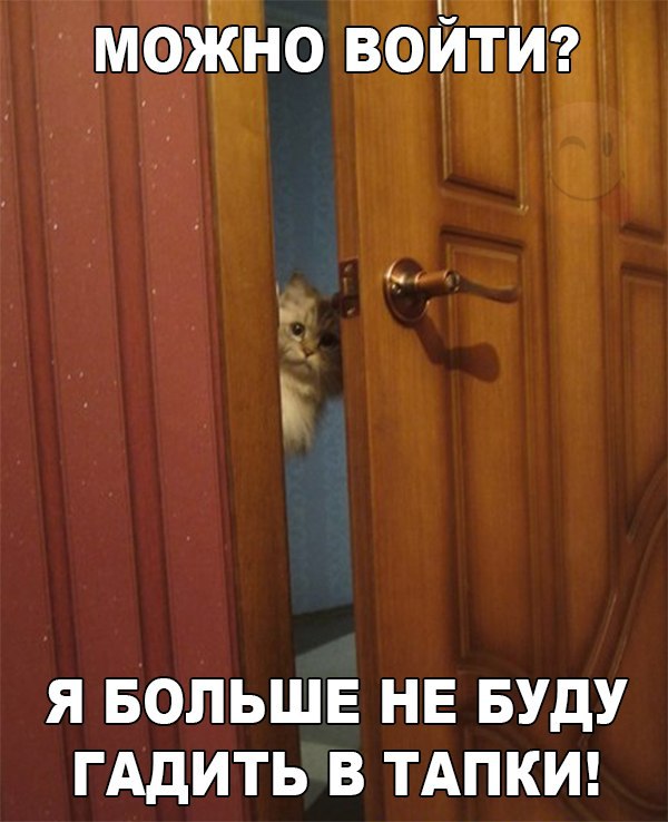 Подборка фот из этих Ваших интернетов