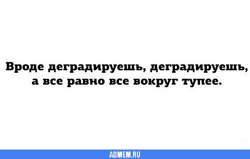 Смотрим и деградируем