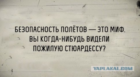 Субботняя порция перлов, высказываний, котоламповых историй
