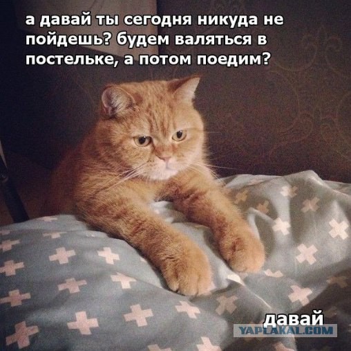 Почему в России распадается каждый второй брак?
