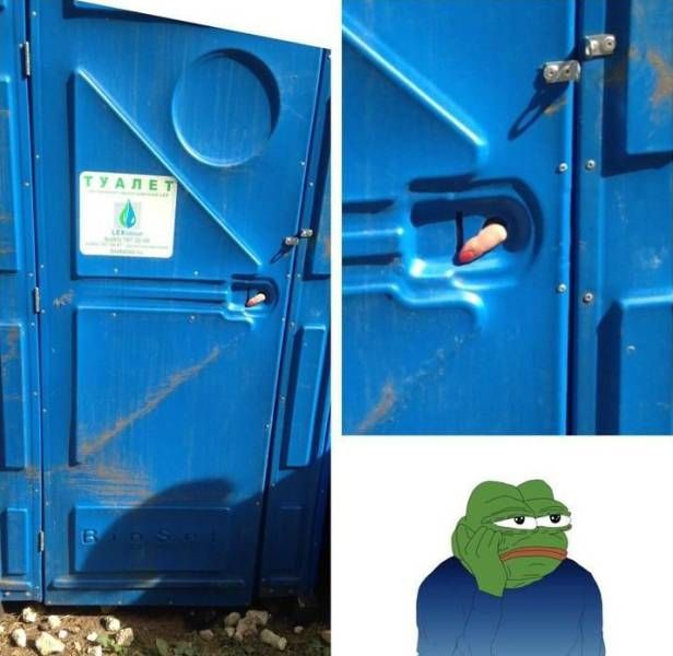 Подборка интересных и веселых картинок