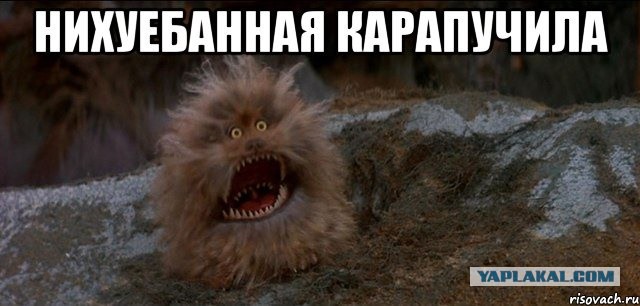 Женщина-базука: культуристка из России бьет рекорды на помосте и в соцсетях