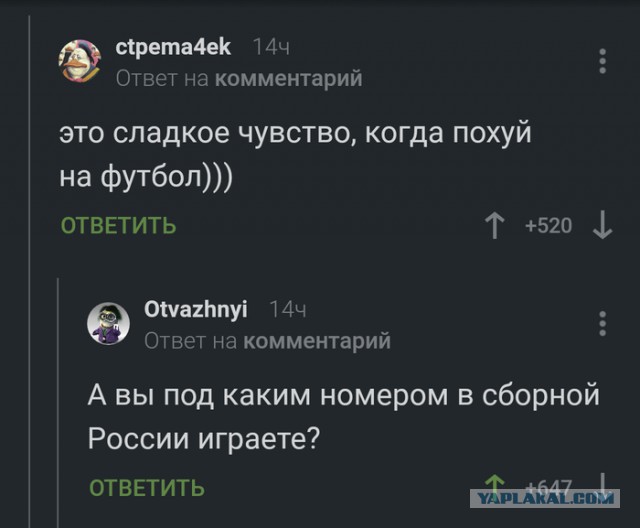 Смешные комментарии из социальных сетей 11.05.2018