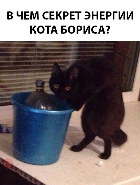 Немного милоты