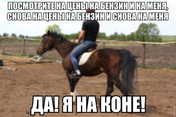 Немного картинок в это воскресенье