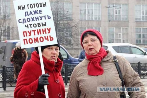 "Отряды путина" из бабок снова жгут или "Дайте два!"