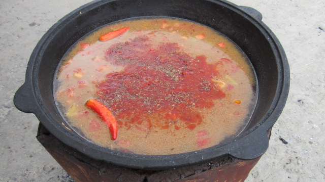 Шурпа обыкновенная, на природе