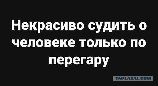 Делаем уроки, бутерброды, охотничью собаку и присоединяем Австрию к России