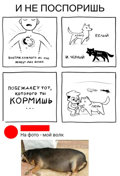 Чуток картинок 02.11.19