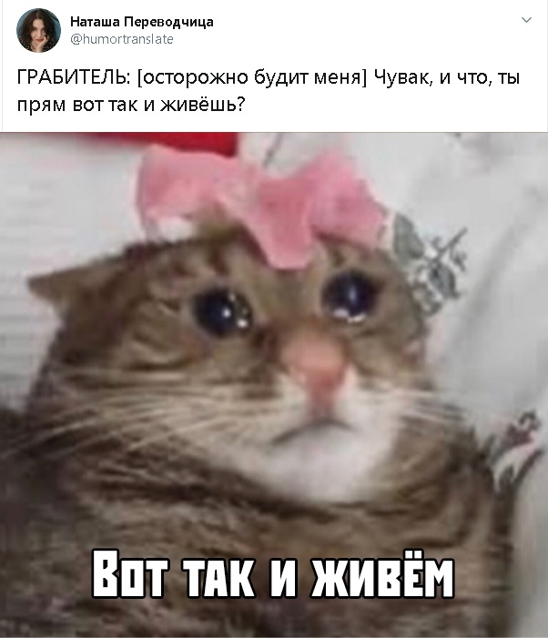 Картинки с надписями, истории и анекдоты 02.11.19