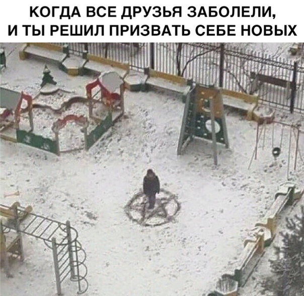 Чуток картинок 08.11.19