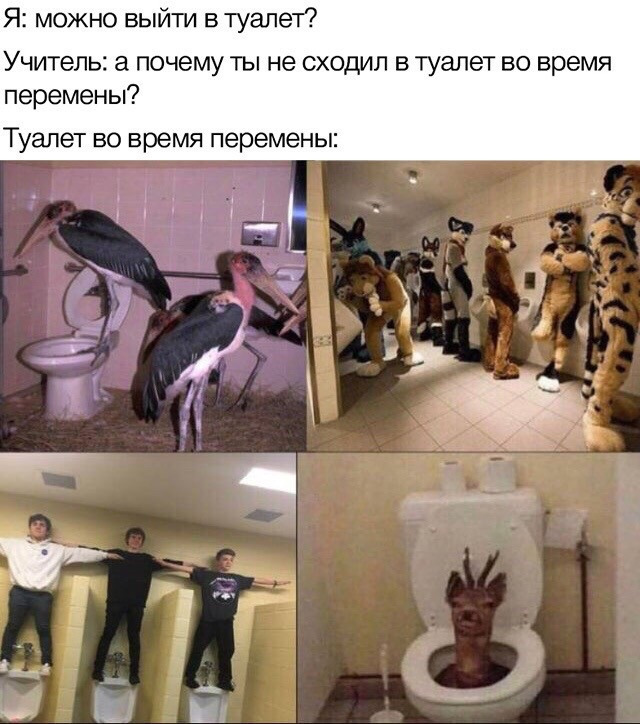 Бредзона 08.12.19