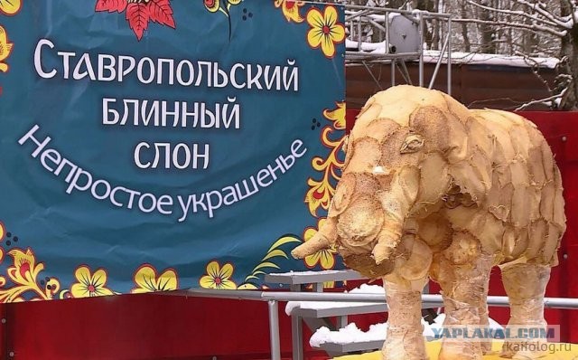 Россия изнутри