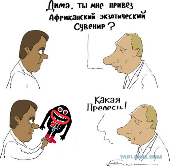 Экзотический сувенир