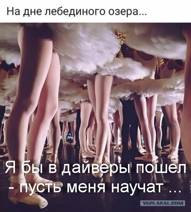 Бредзона 26.09.20
