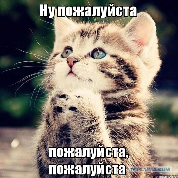 Чем привлекают женщин толстяки?