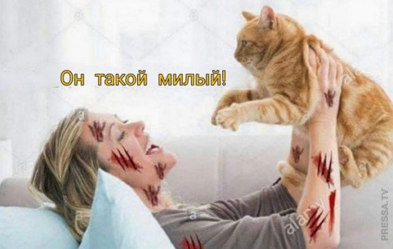 Не очень адекватный юмор