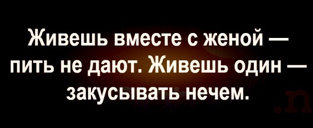 Фотки и картинки: юморные и красивые, забавные и милые 17.11.20