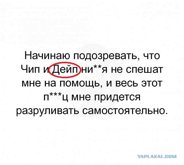 Фотки и картинки: юморные и красивые, забавные и милые 17.11.20