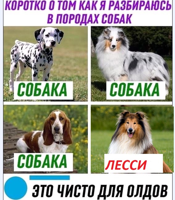 Картинки и мемы для настроения 006