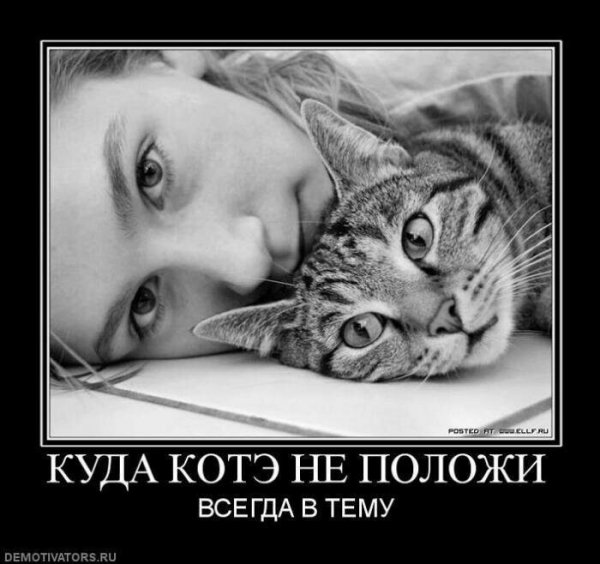 Прикольные и просто красивые картинки 14.01.2021
