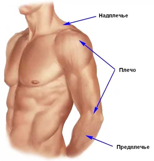 Прививка в поликлинике, квалификация медсестры, и срок годности