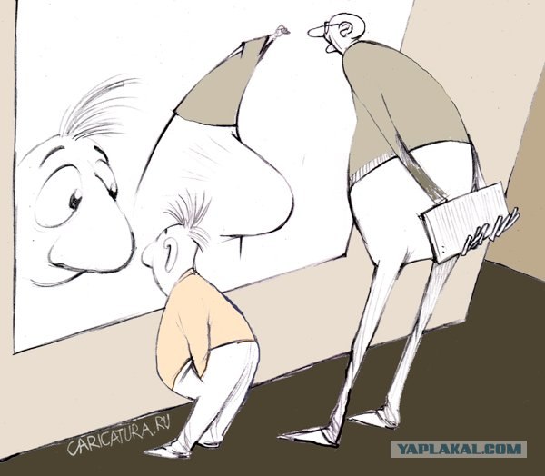 Дикие кошки и зеркало