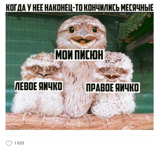 Пятница. И немного слегка пошлых картинок с надписями и без 16+ (21.05))