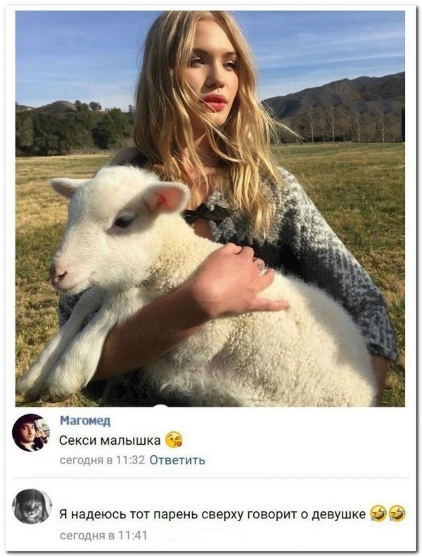 Картинки и мемы для настроения 024