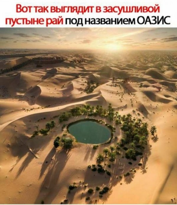 Прикольные и просто красивые картинки 01.06.2021