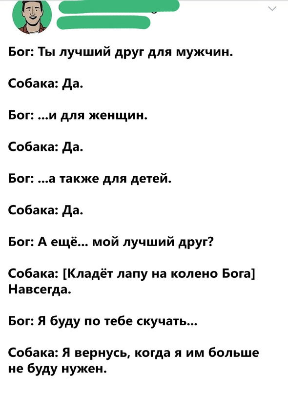 Весёлый полтишок 8.06.21