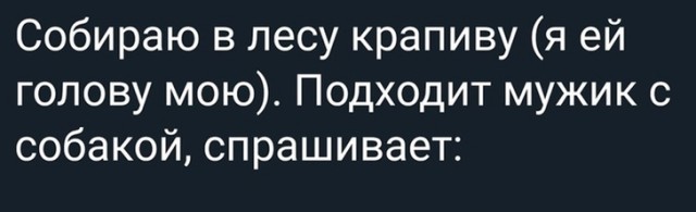 А что ещё сказать?..