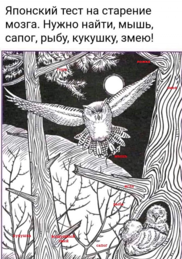 Бредзона 10.10.2021