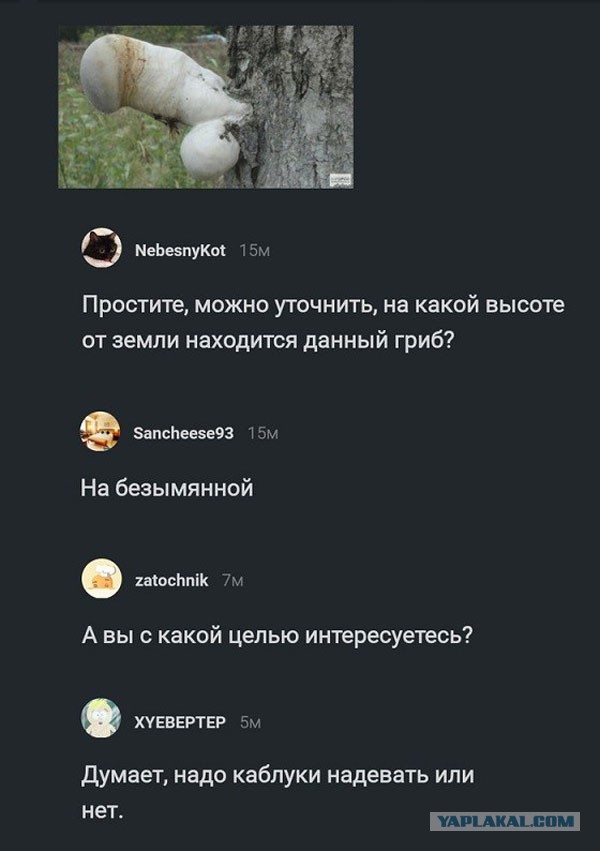 Пятница. И немного слегка пошлых картинок с надписями и без 16+ (18.02)