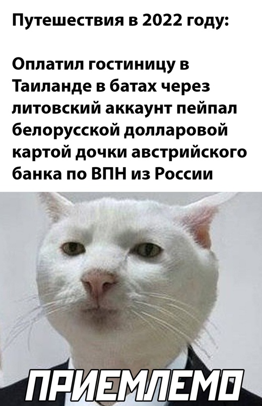 Весёлый полтишок 04.07.22