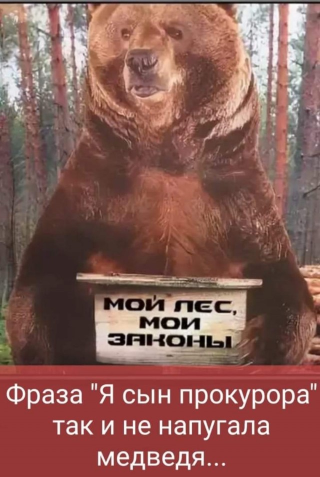 Немного картинок для настроения - 112