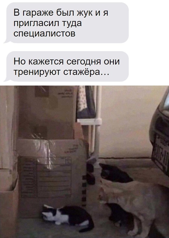 Немного картинок для настроения - 131