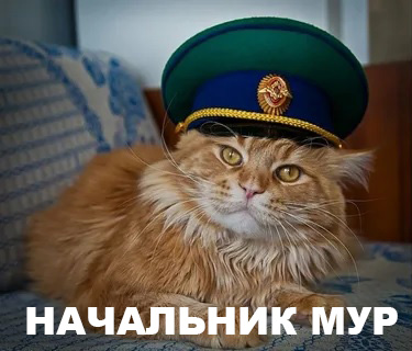 Ранили начальника МУР