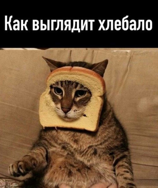Так себе картинки 07.03.23