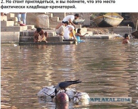Индусы и их кухня...