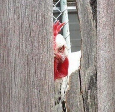 Три варианта: Как возрастные невесты отпугивают мужчин
