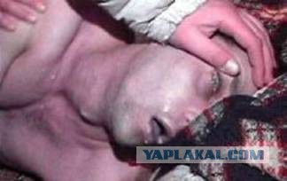 Гнал, гоню и буду гнать!