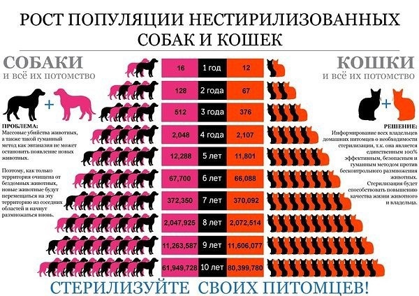 «Заботливые» хозяева