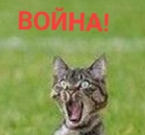 Франция готовится к полномасштабной войне в Европе — Politico