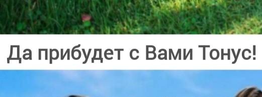 Девчата для тонуса - 74