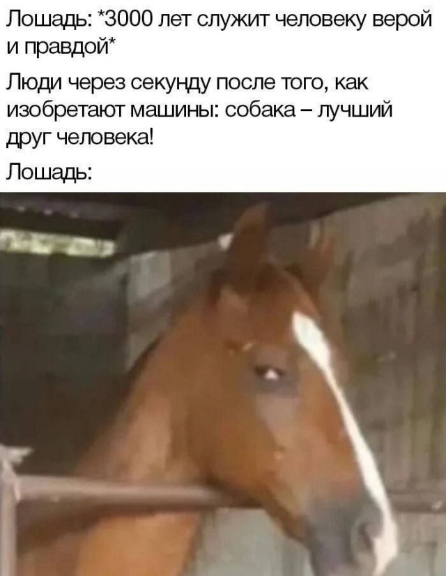Веселые картинки в понедельник 28.04