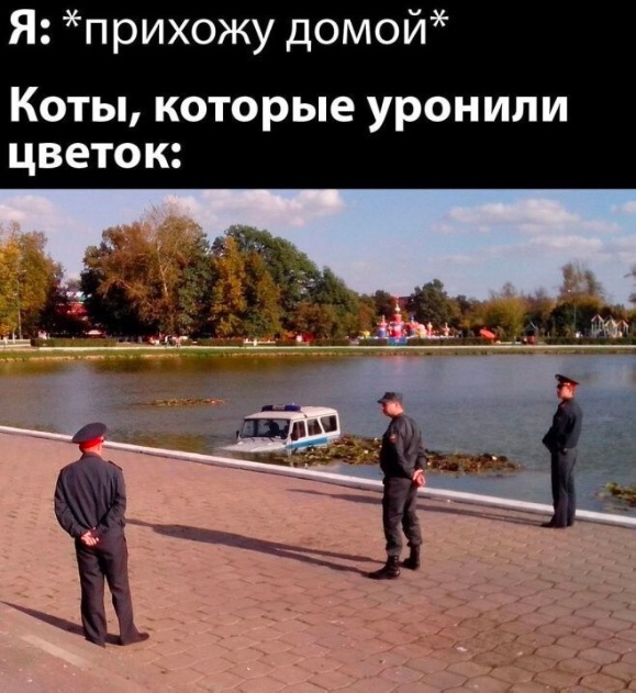 Так себе картинки 04.06.25