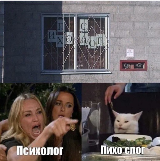 Знаменитый кот 2