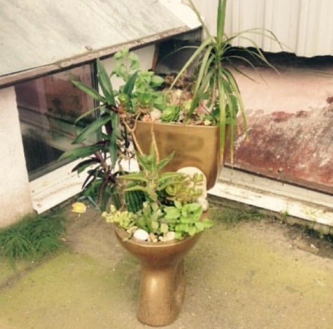 Веселое настроение в картинках 27.07.25