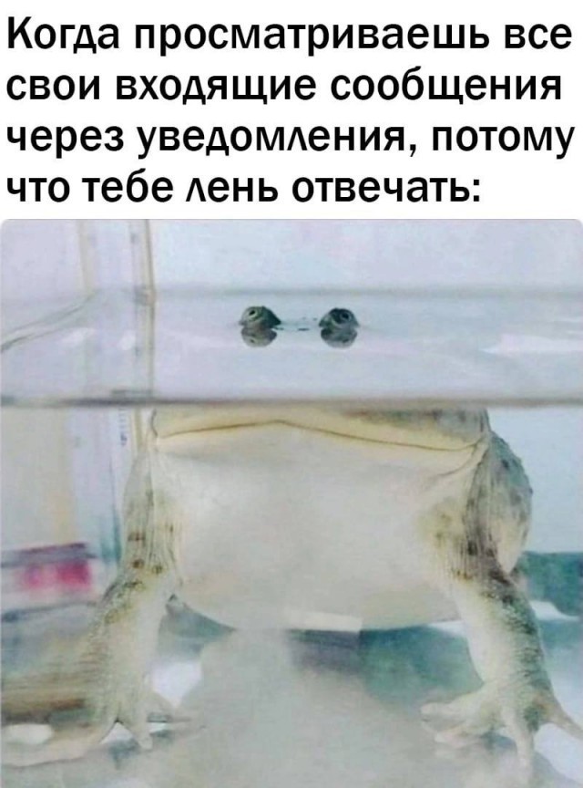 Картинки для деградации 12 (разной степени свежести)